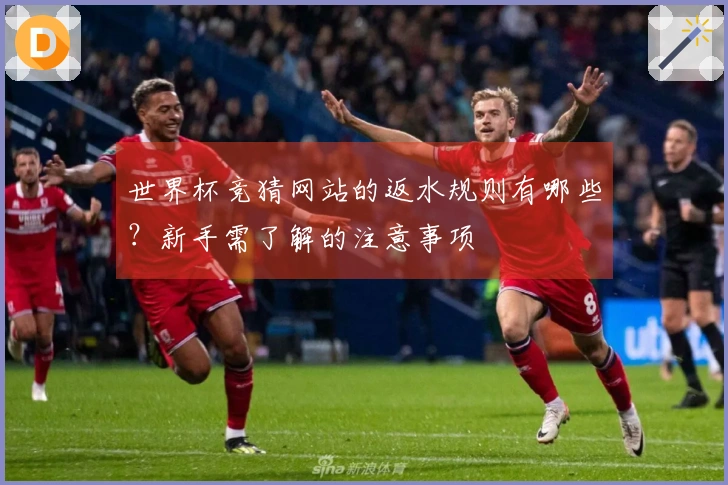 世界杯竞猜网站的返水规则有哪些？新手需了解的注意事项