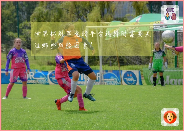 世界杯冠军竞猜平台选择时需要关注哪些风险因素？