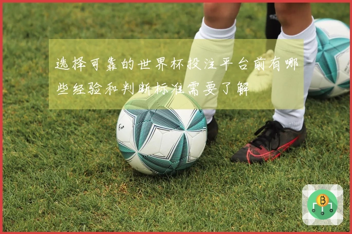 选择可靠的世界杯投注平台前有哪些经验和判断标准需要了解