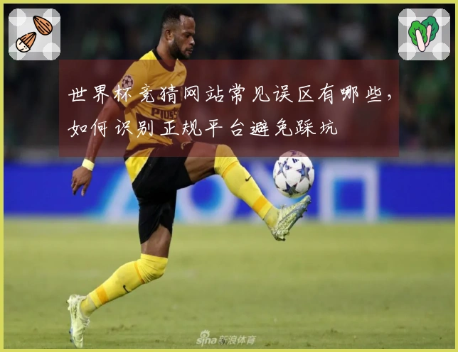 世界杯竞猜网站常见误区有哪些，如何识别正规平台避免踩坑