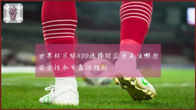 世界杯买球app选择时应该关注哪些安全性和可靠性指标