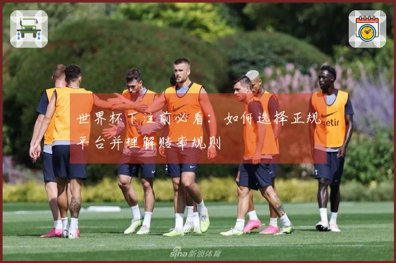 世界杯下注前必看：如何选择正规平台并理解赔率规则
