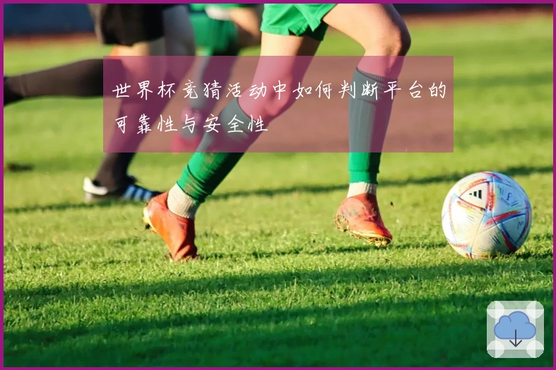 世界杯竞猜活动中如何判断平台的可靠性与安全性