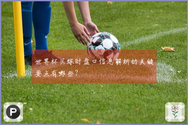世界杯买球时盘口信息解析的关键要点有哪些？