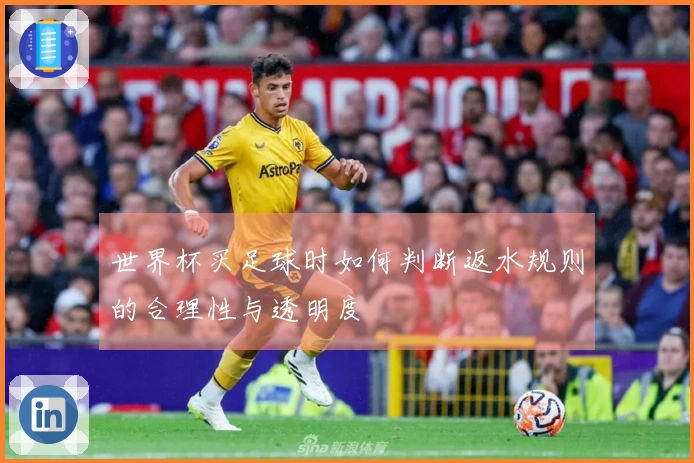 世界杯买足球时如何判断返水规则的合理性与透明度