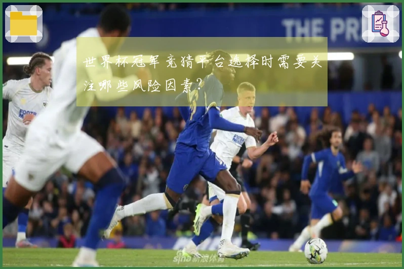 世界杯冠军竞猜平台选择时需要关注哪些风险因素？