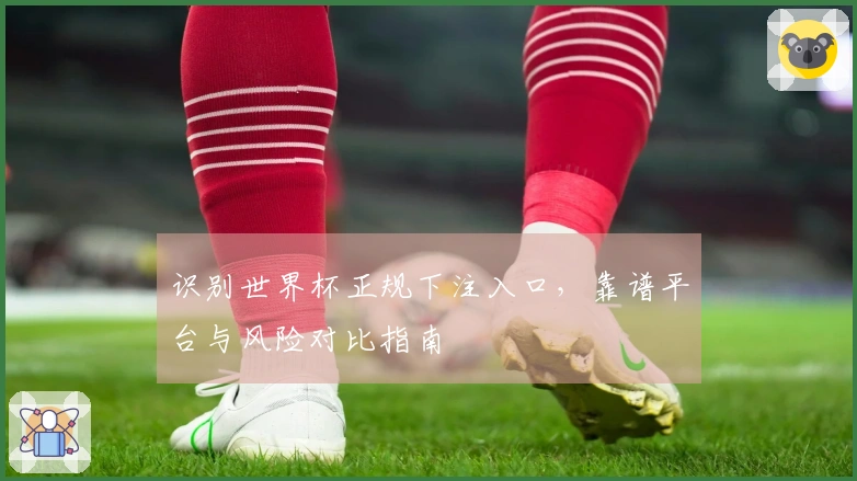 识别世界杯正规下注入口，靠谱平台与风险对比指南