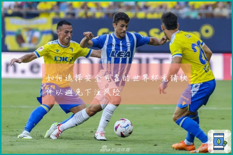 如何选择安全可靠的世界杯竞猜软件以避免下注风险