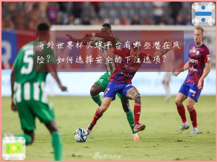 海外世界杯买球平台有哪些潜在风险？如何选择安全的下注选项？