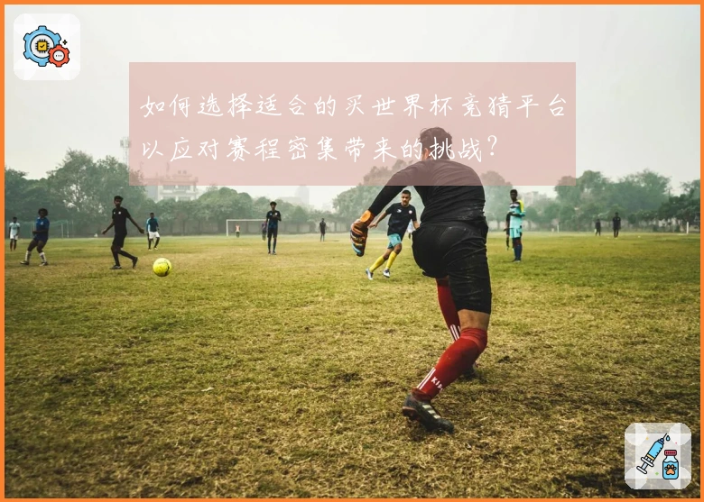如何选择适合的买世界杯竞猜平台以应对赛程密集带来的挑战？