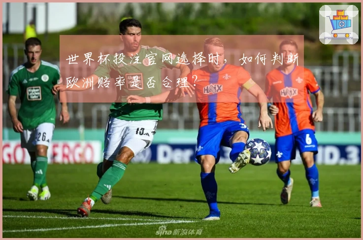 世界杯投注官网选择时，如何判断欧洲赔率是否合理？