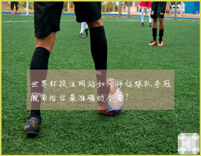 世界杯投注网站如何评估球队夺冠概率给你最准确的参考？