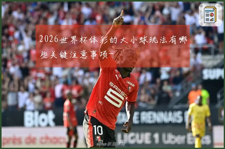 2026世界杯体彩的大小球玩法有哪些关键注意事项-