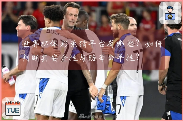 世界杯体彩竞猜平台有哪些？如何判断其安全性与赔率公平性？
