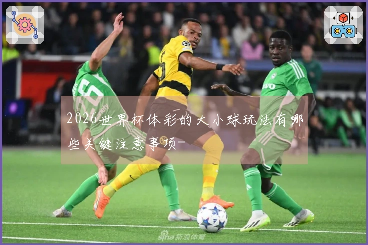2026世界杯体彩的大小球玩法有哪些关键注意事项-