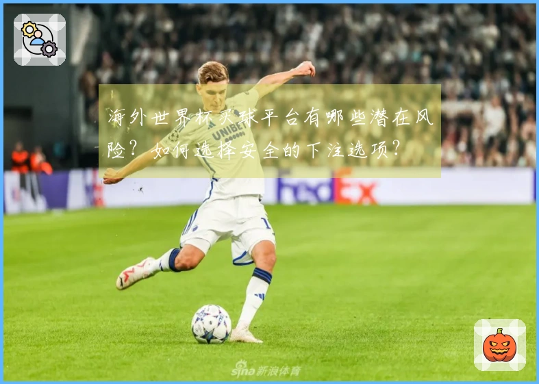 海外世界杯买球平台有哪些潜在风险？如何选择安全的下注选项？