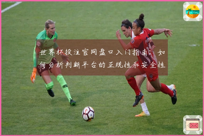 世界杯投注官网盘口入门指南：如何分析判断平台的正规性和安全性