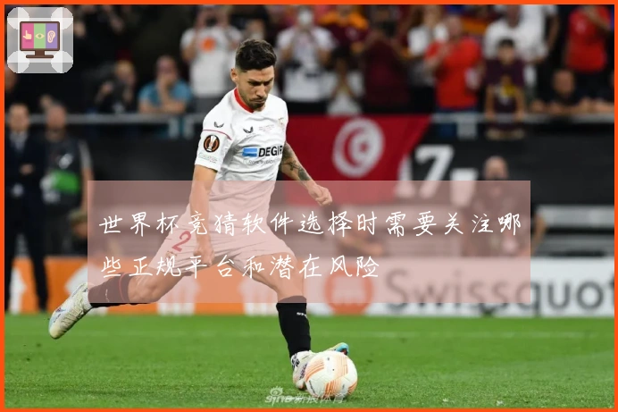 世界杯竞猜软件选择时需要关注哪些正规平台和潜在风险